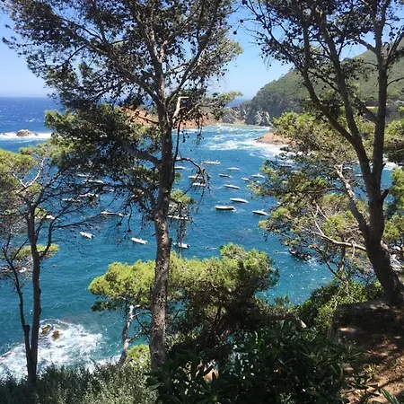 Cap Sa Sal Navy, Begur, Girona *