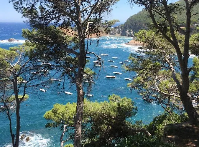 Cap Sa Sal Navy, Begur, Girona *