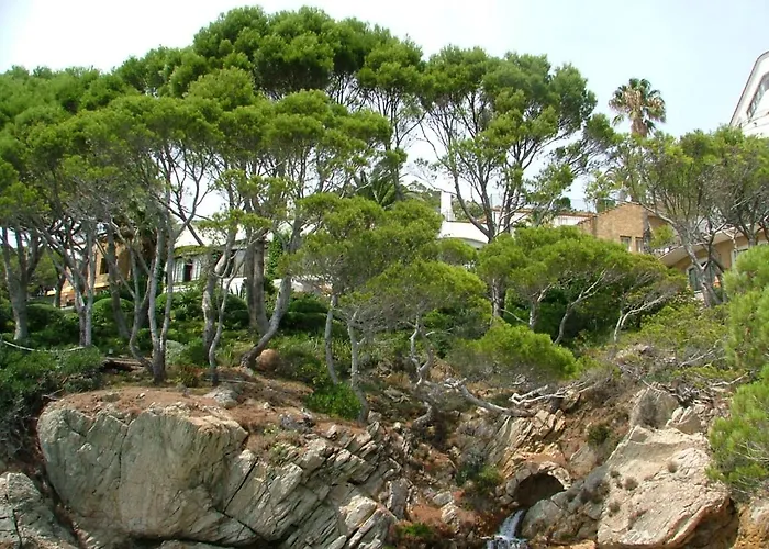 Apartament Cap Sa Sal Navy, Begur, Girona *